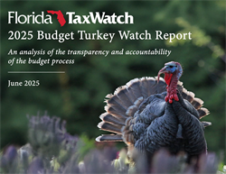 2025 Budget Turkey Watch Report