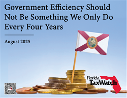 Government Efficiency Should Not Be Something We Do Every Four Years