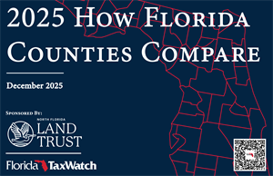 2025 How Florida Counties Compare