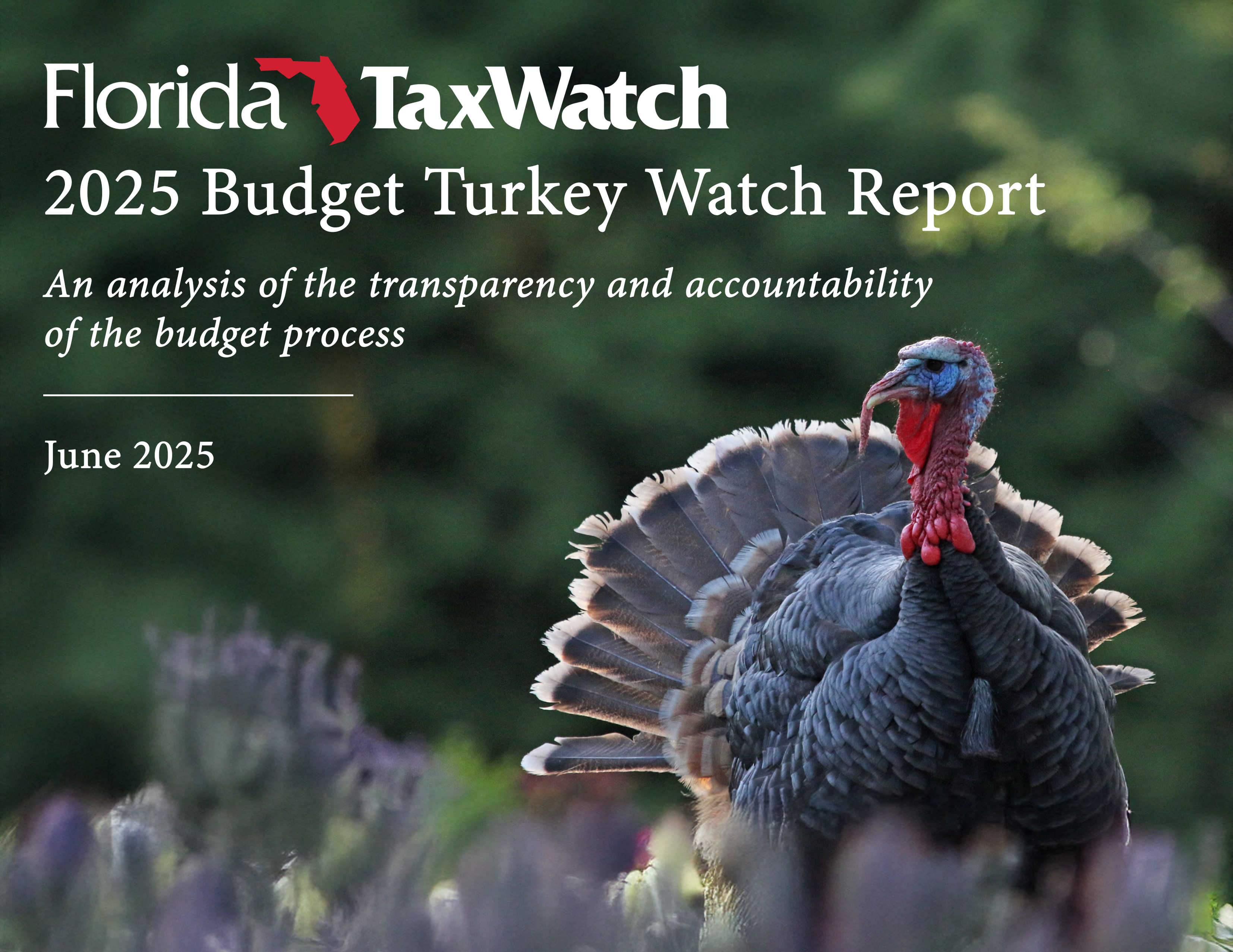 2025 Budget Turkey Watch Report Cover