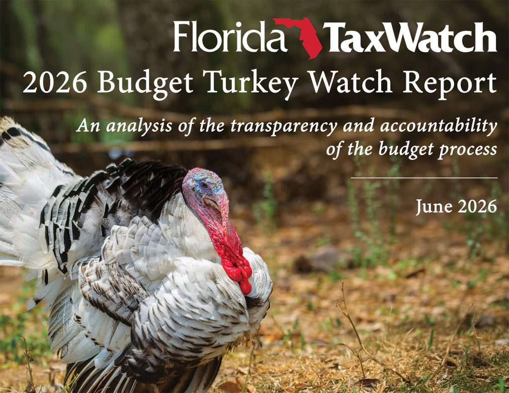 2026 Budget Turkey Watch Report: FY2026-27